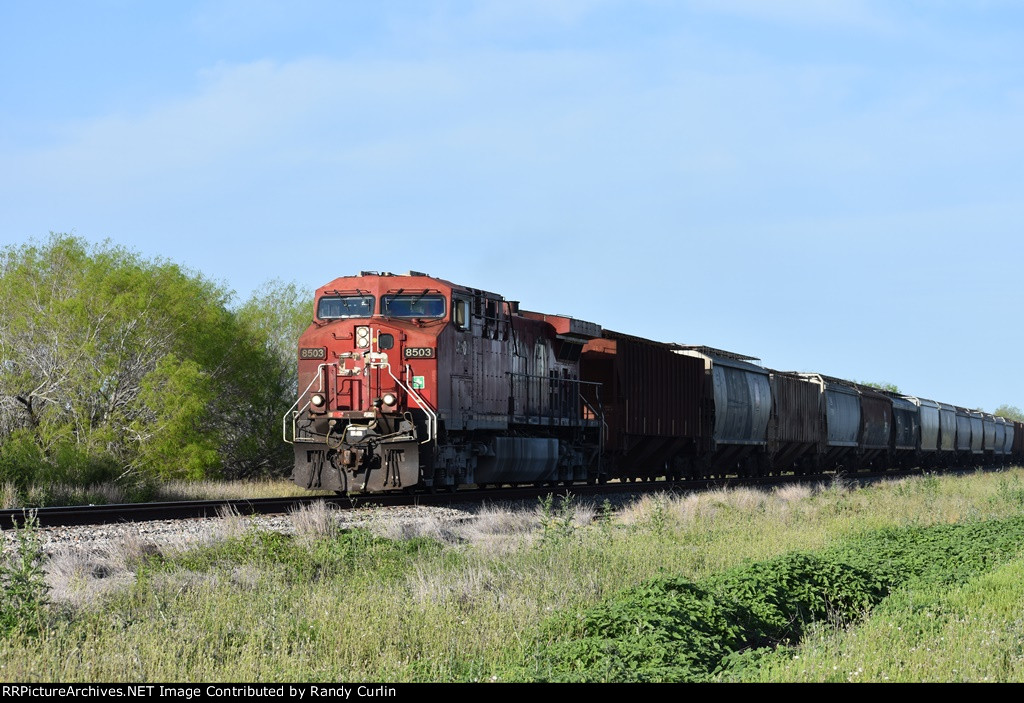 CP 8503 West